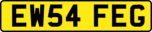 EW54FEG