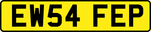 EW54FEP
