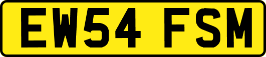 EW54FSM