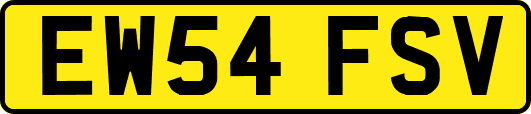 EW54FSV