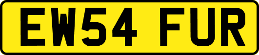 EW54FUR