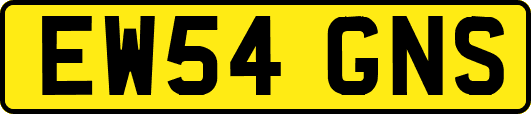 EW54GNS