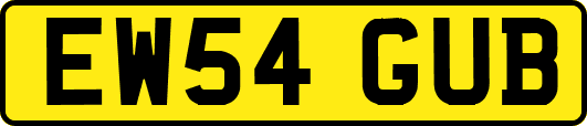 EW54GUB