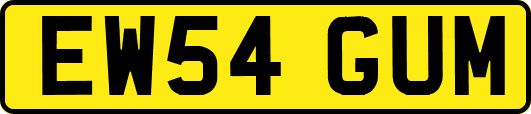 EW54GUM