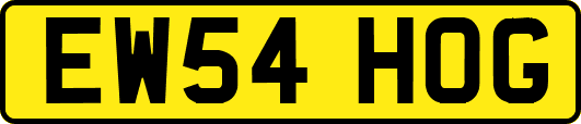EW54HOG