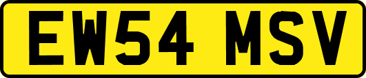 EW54MSV