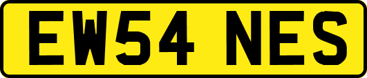 EW54NES