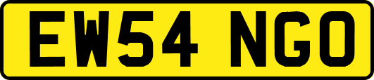 EW54NGO