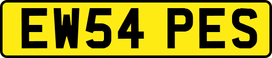 EW54PES