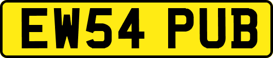 EW54PUB