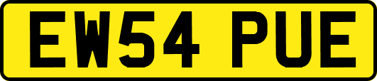 EW54PUE
