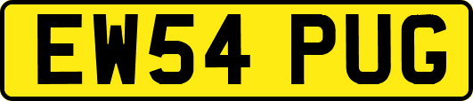 EW54PUG