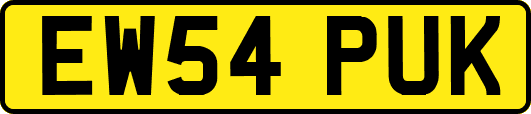 EW54PUK
