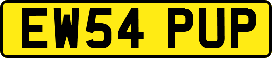 EW54PUP