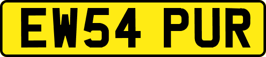 EW54PUR