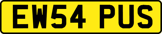 EW54PUS