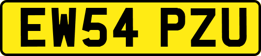 EW54PZU