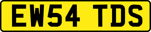 EW54TDS