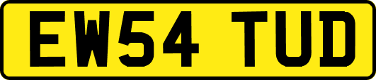 EW54TUD