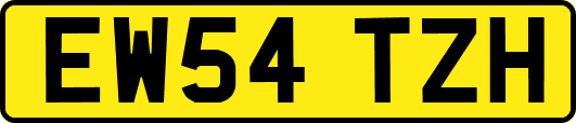 EW54TZH