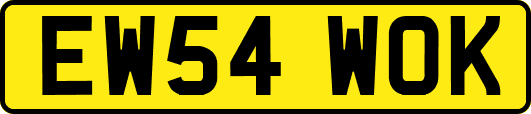 EW54WOK