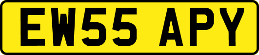 EW55APY