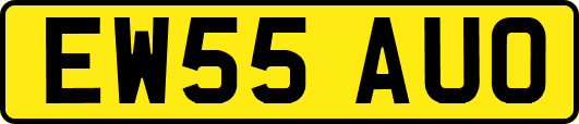 EW55AUO
