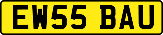 EW55BAU