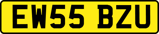 EW55BZU