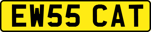 EW55CAT
