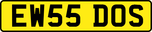 EW55DOS