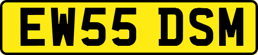 EW55DSM