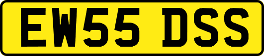 EW55DSS