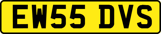 EW55DVS