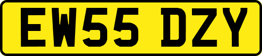 EW55DZY
