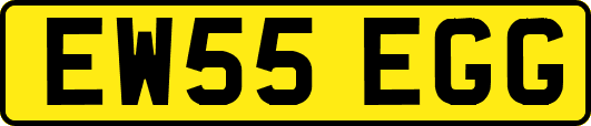 EW55EGG