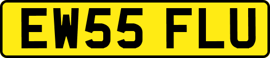 EW55FLU