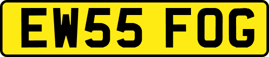 EW55FOG