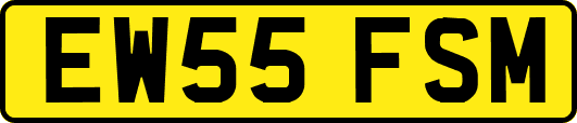 EW55FSM