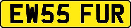 EW55FUR