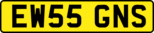 EW55GNS