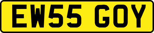 EW55GOY