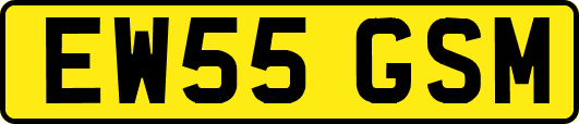 EW55GSM