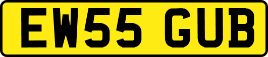 EW55GUB