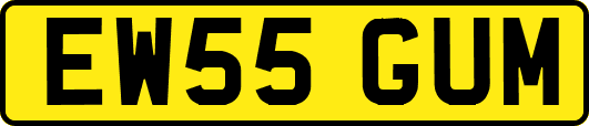 EW55GUM