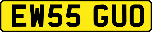 EW55GUO