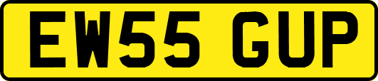 EW55GUP