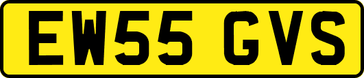 EW55GVS