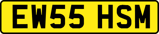 EW55HSM