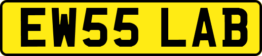 EW55LAB